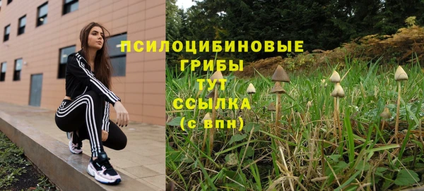 гидра Алексеевка